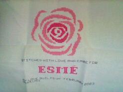 Cross stitch square for Esmé A's quilt