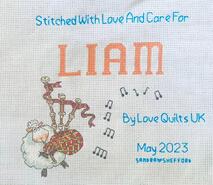 Cross stitch square for Liam F's quilt