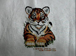 Cross stitch square for Theo H's quilt