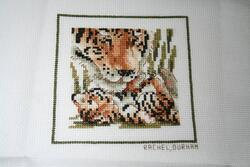Cross stitch square for Alan S's quilt